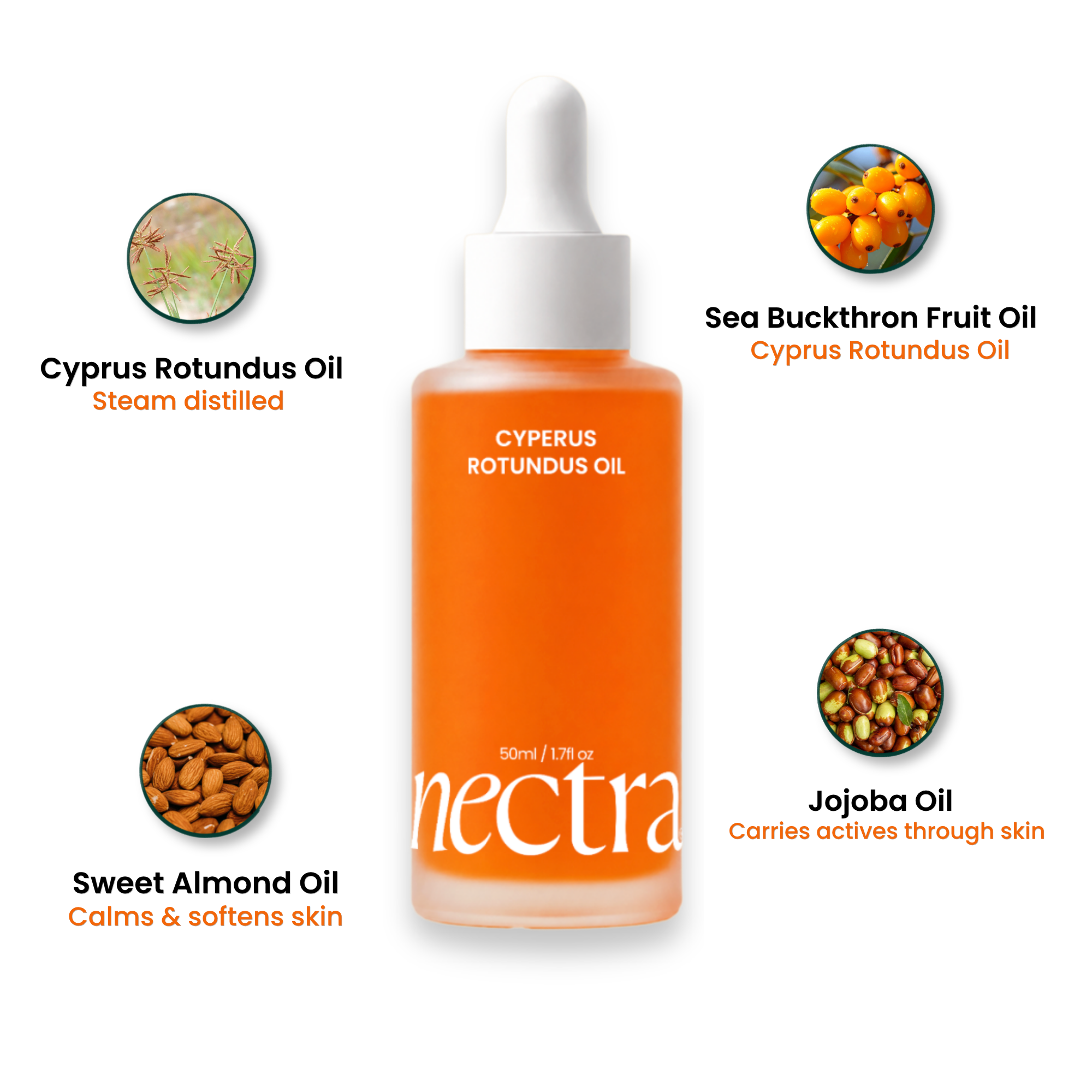 Cyperus Rontundus Oil